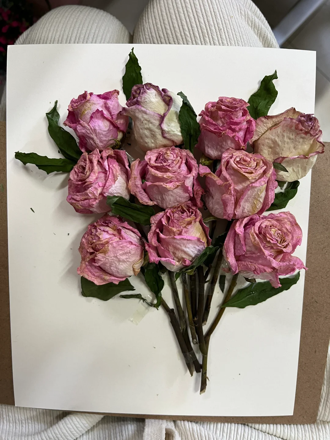 花会枯萎?,爱意永不凋零