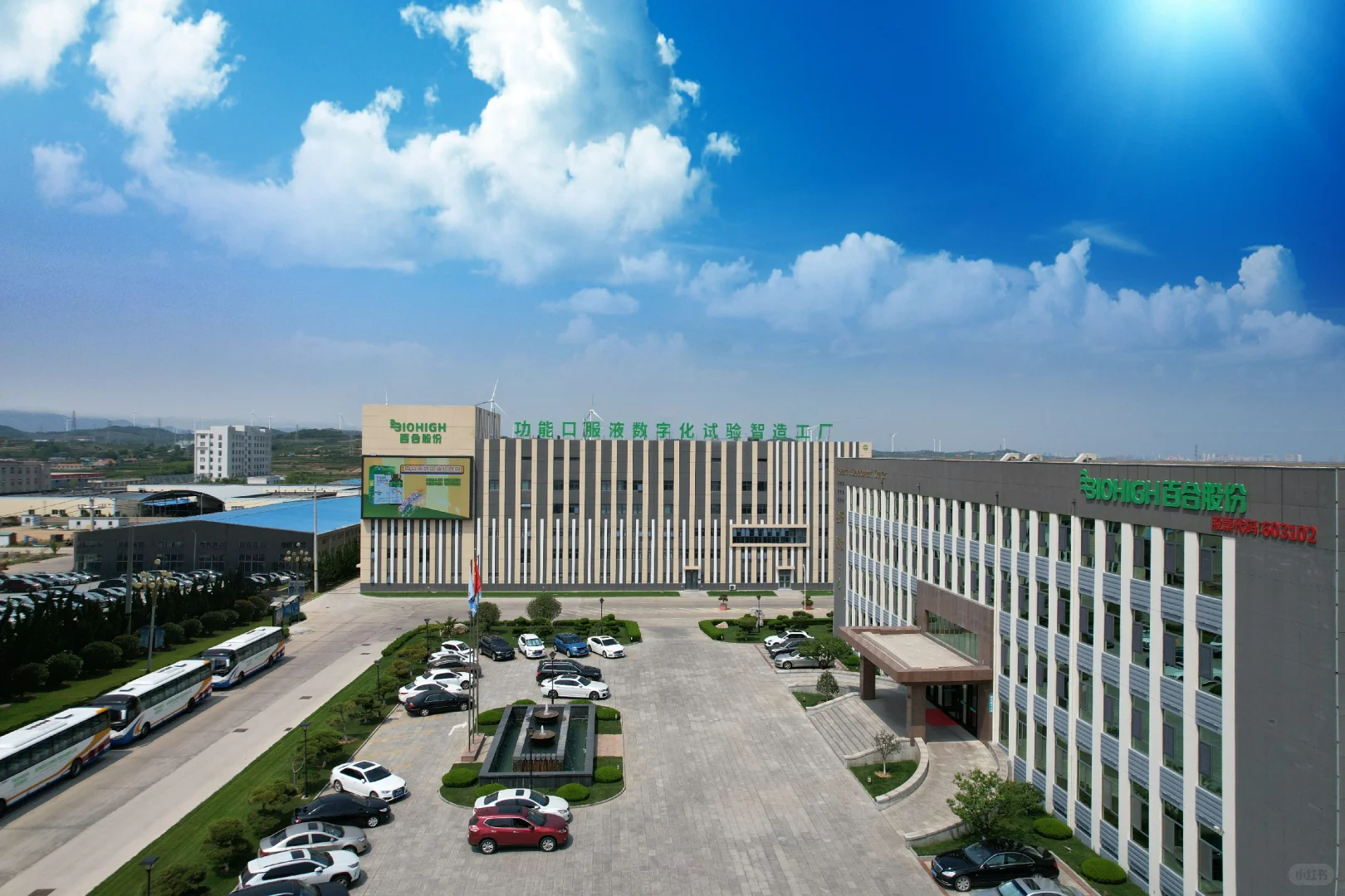 保健食品/功能性食品代工上市公司百合股份