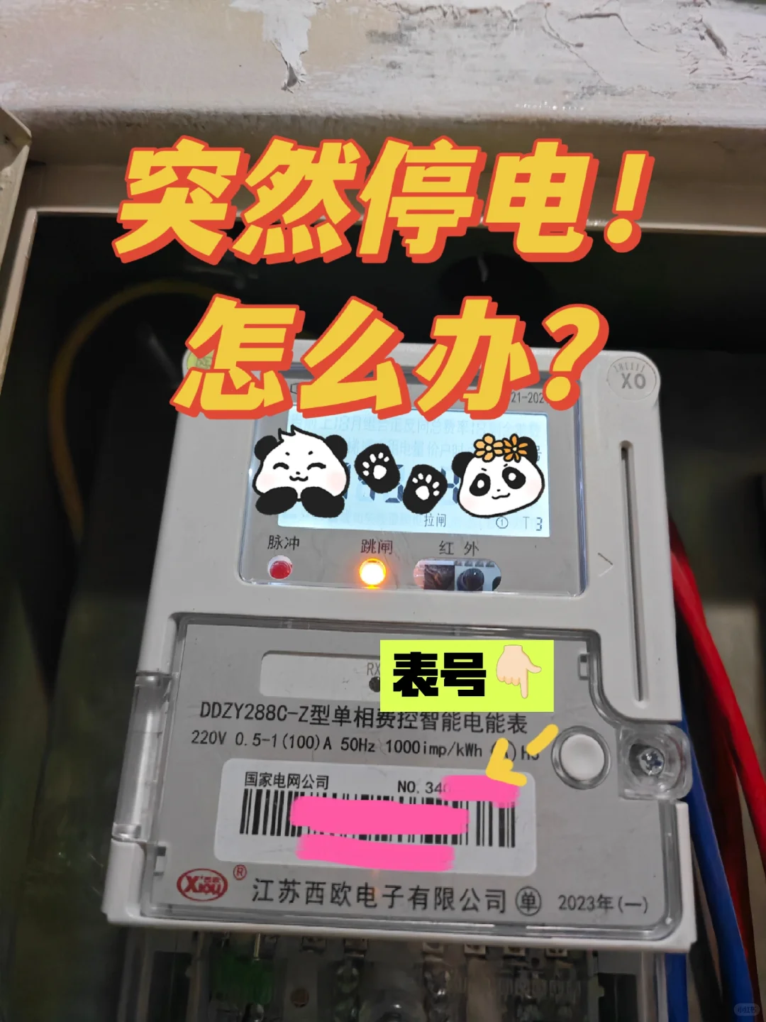 独居女生必学！不用问房东也能查电费户号！