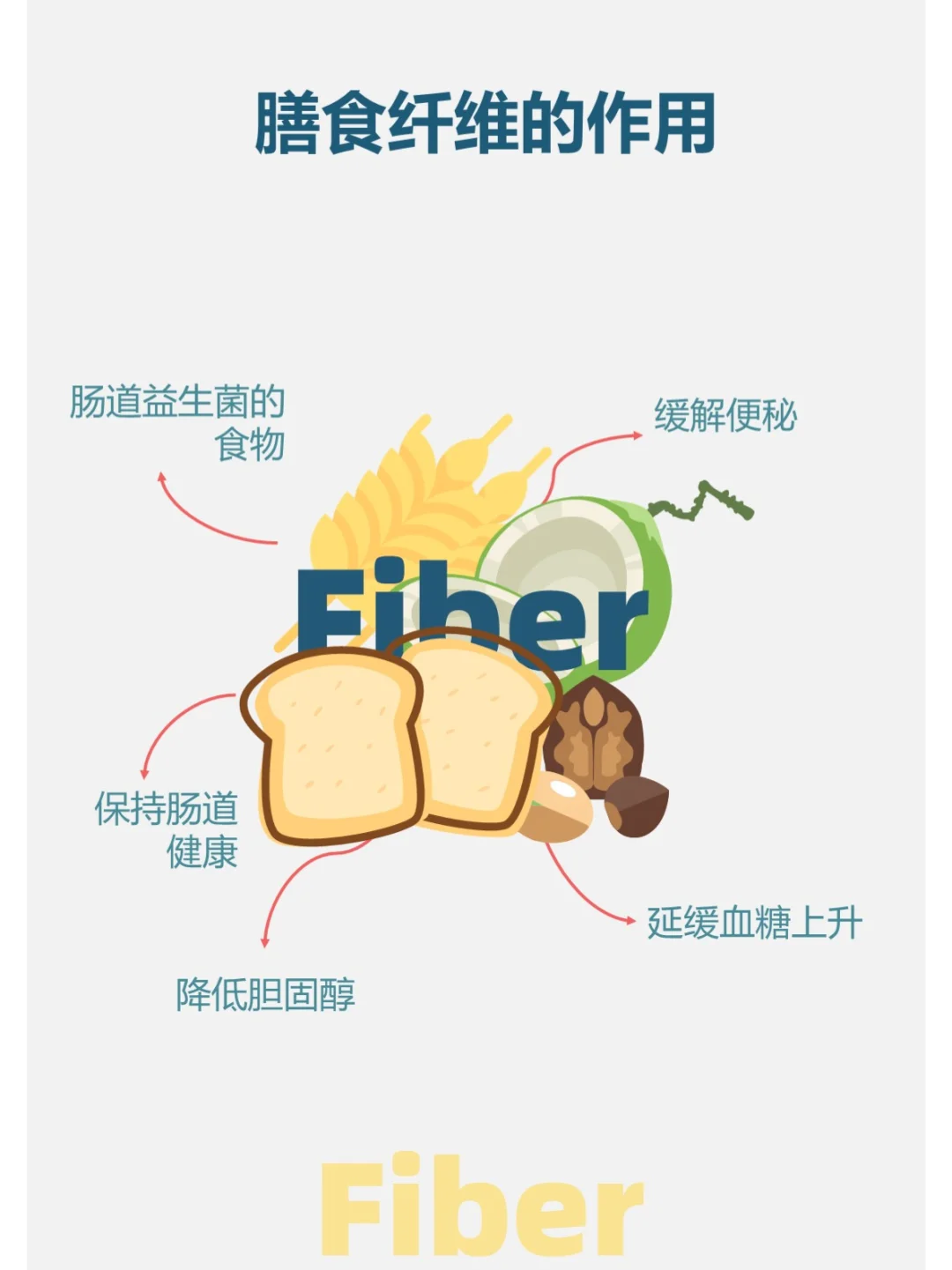 每天学点营养学——膳食纤维
