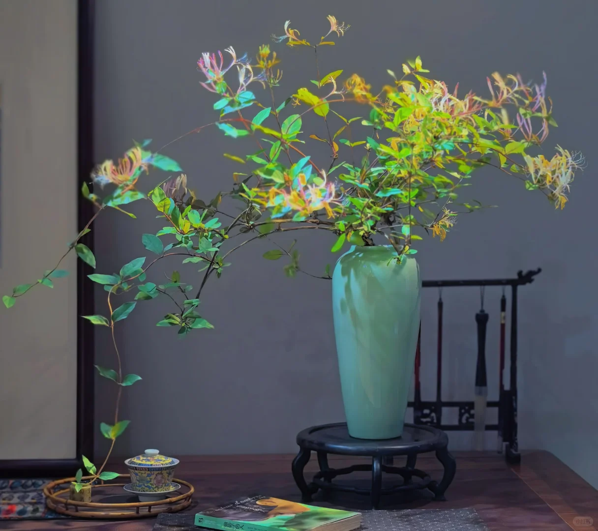 推荐几个提升茶室格调的绿植