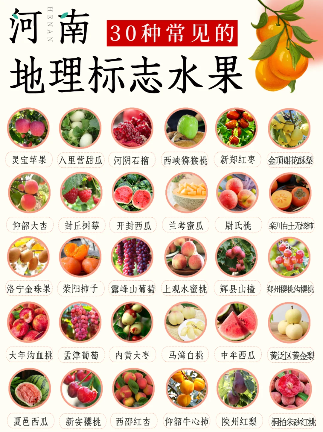 河南水果图鉴丨我们大河南的水果，是真中！