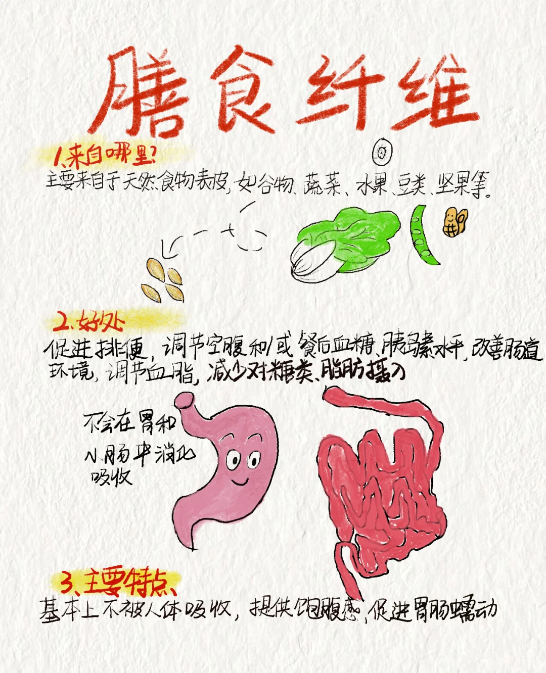 食物中的营养素之膳食纤维