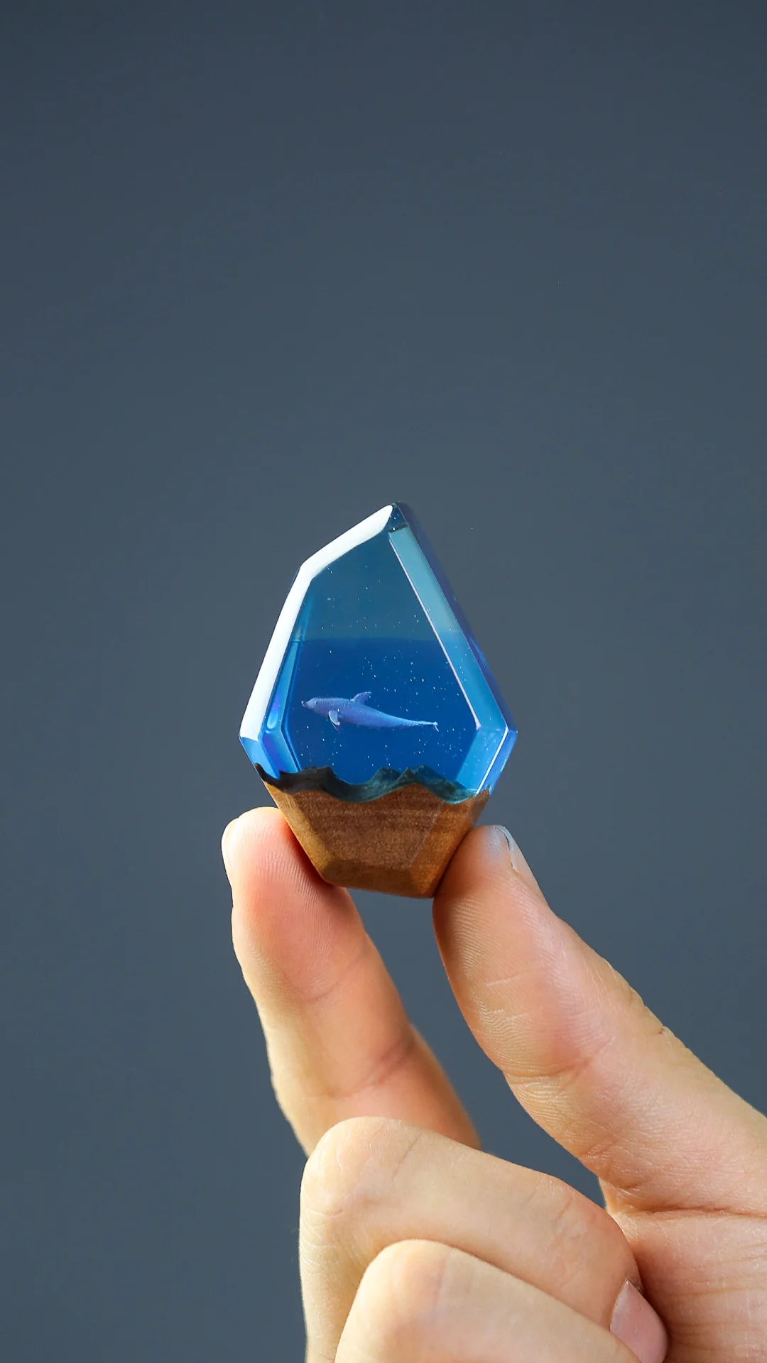 海洋之石封存一只海豚