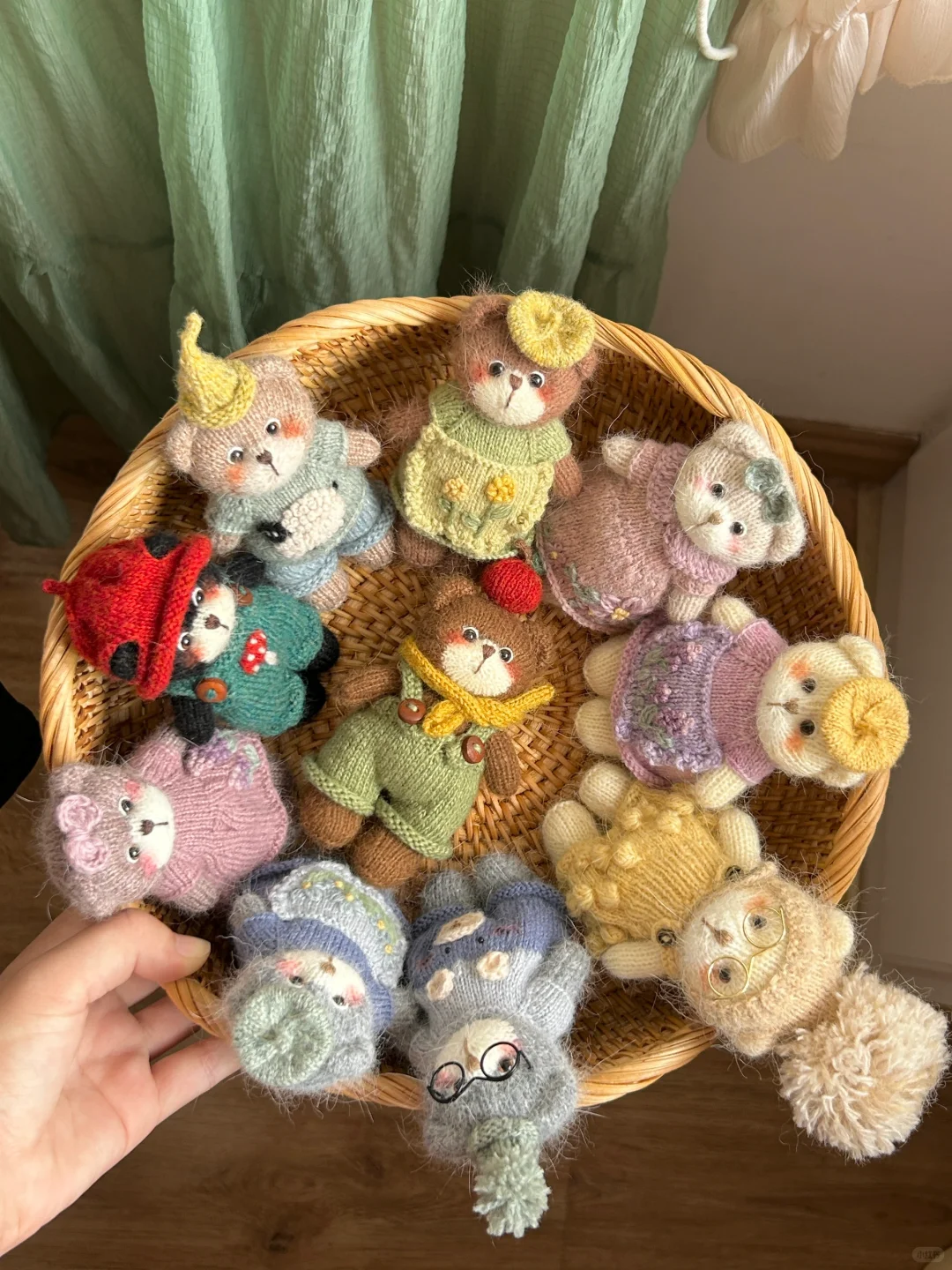 一筐熊熊已出发✈️