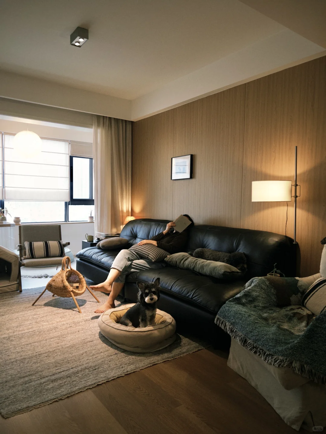 75平小家，这样布置很舒服