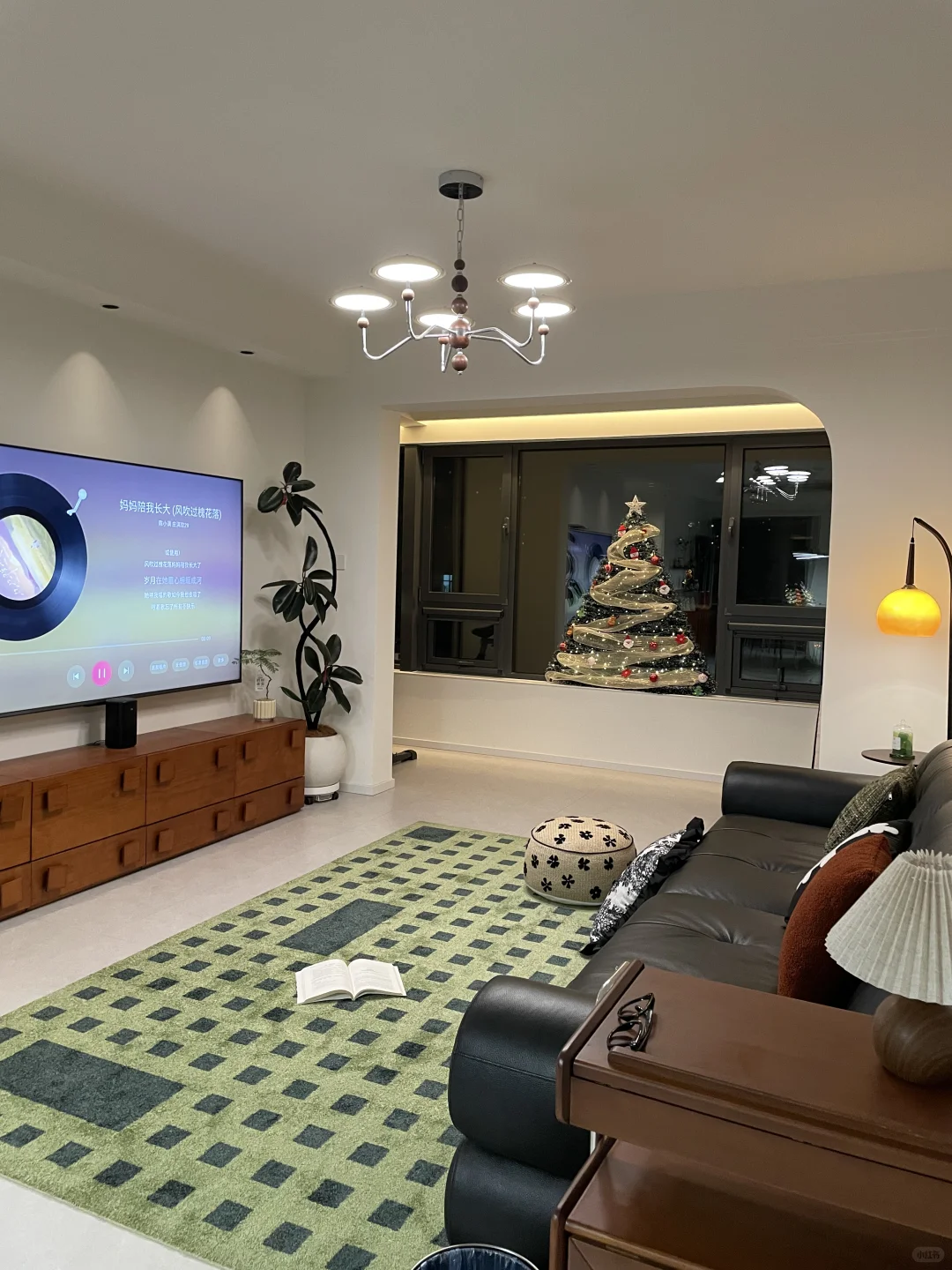 ?抄作业成功！网购绿植从未失手