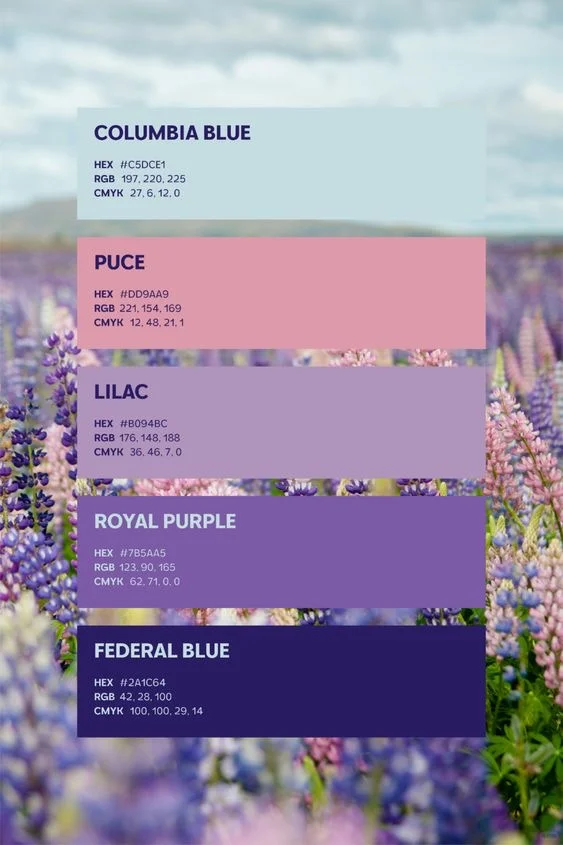 每日色卡Vol.23｜春夏必收的氛围感配色 ✅