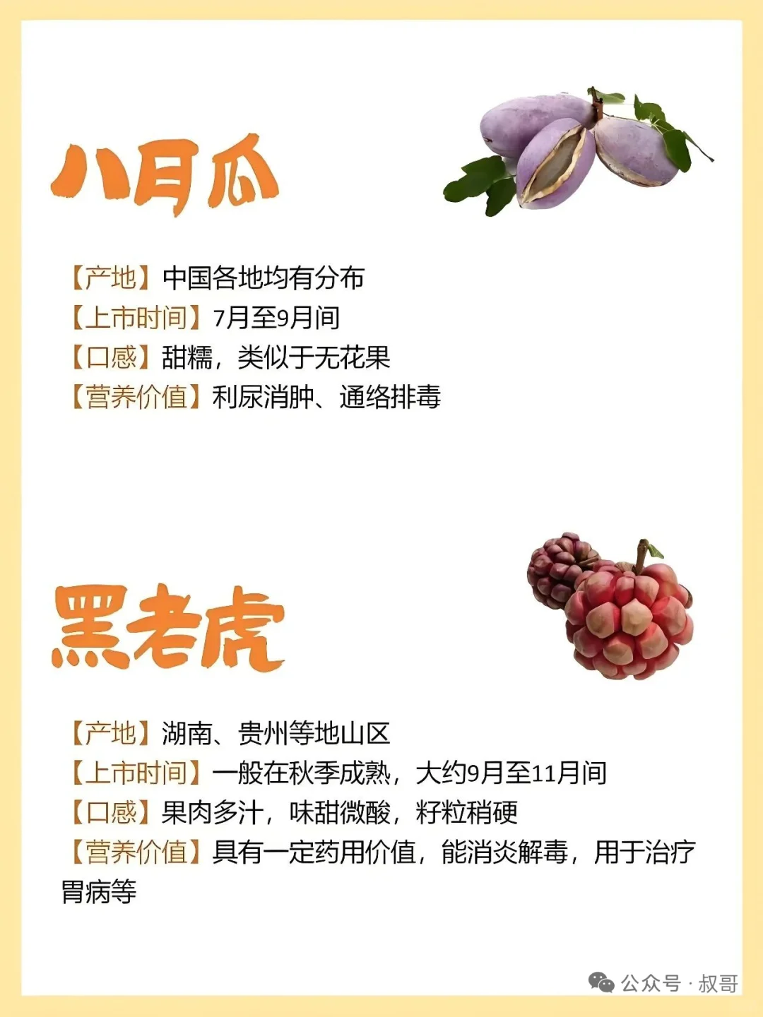 存在感不强的小众水果介绍~~