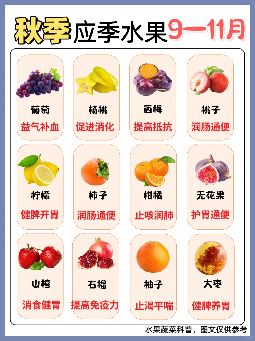 水果会说话|一年四季水果大赏?