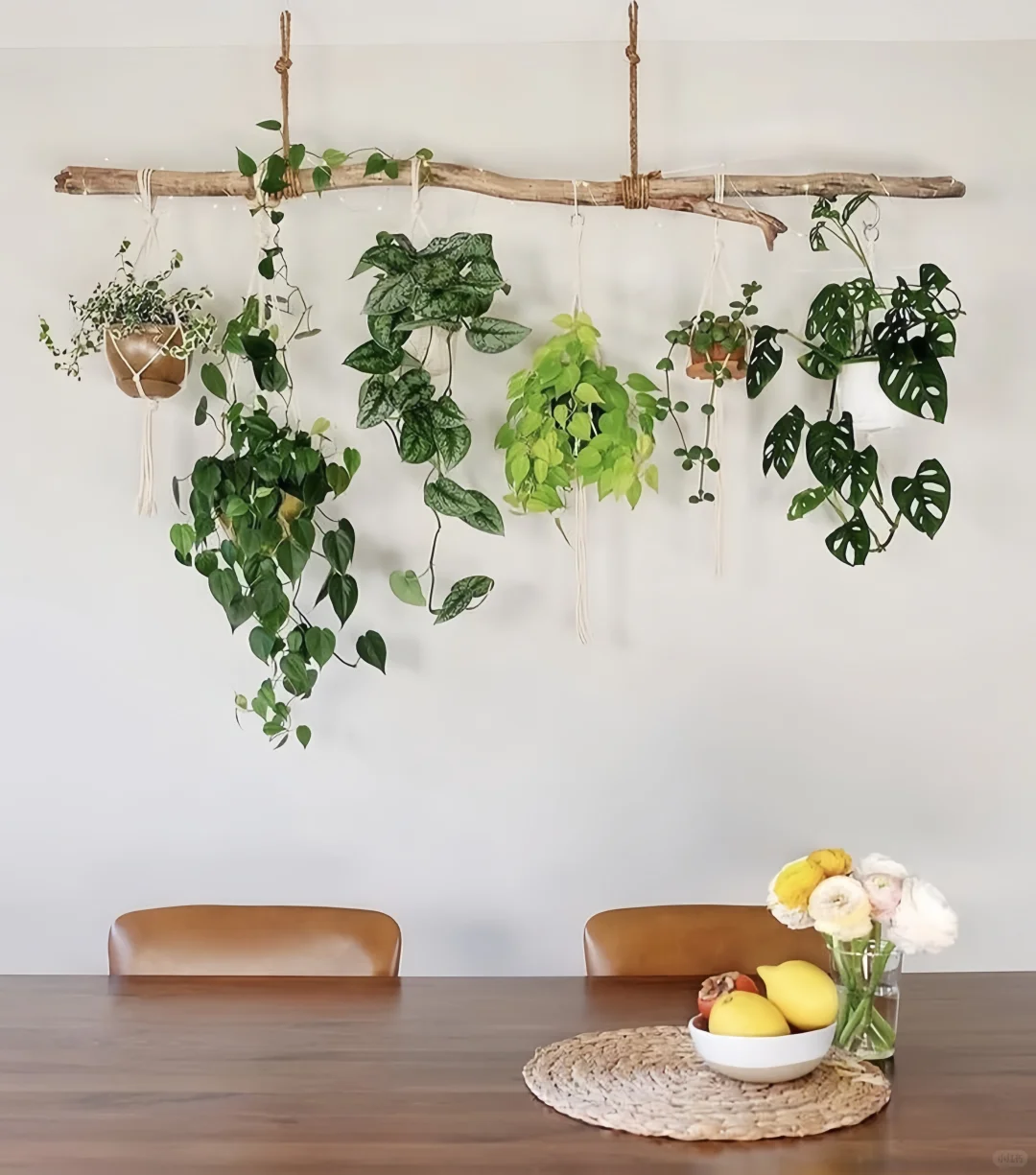 创意手工｜环创｜发现了用树枝DIY的美～