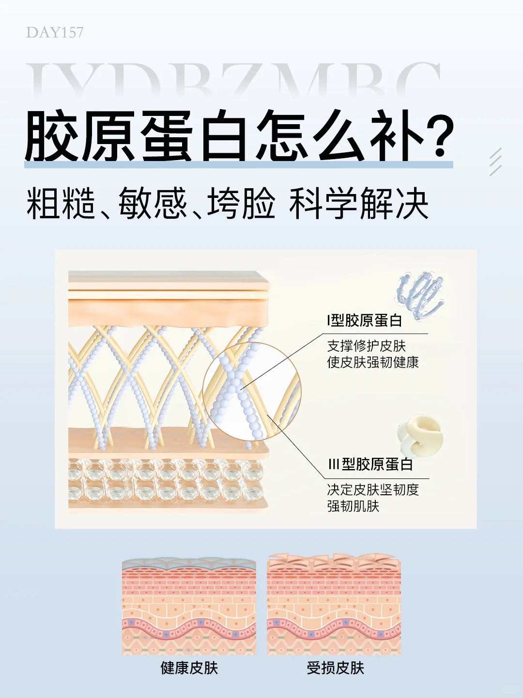 胶原蛋白怎么补❓4步避免智商税❗️