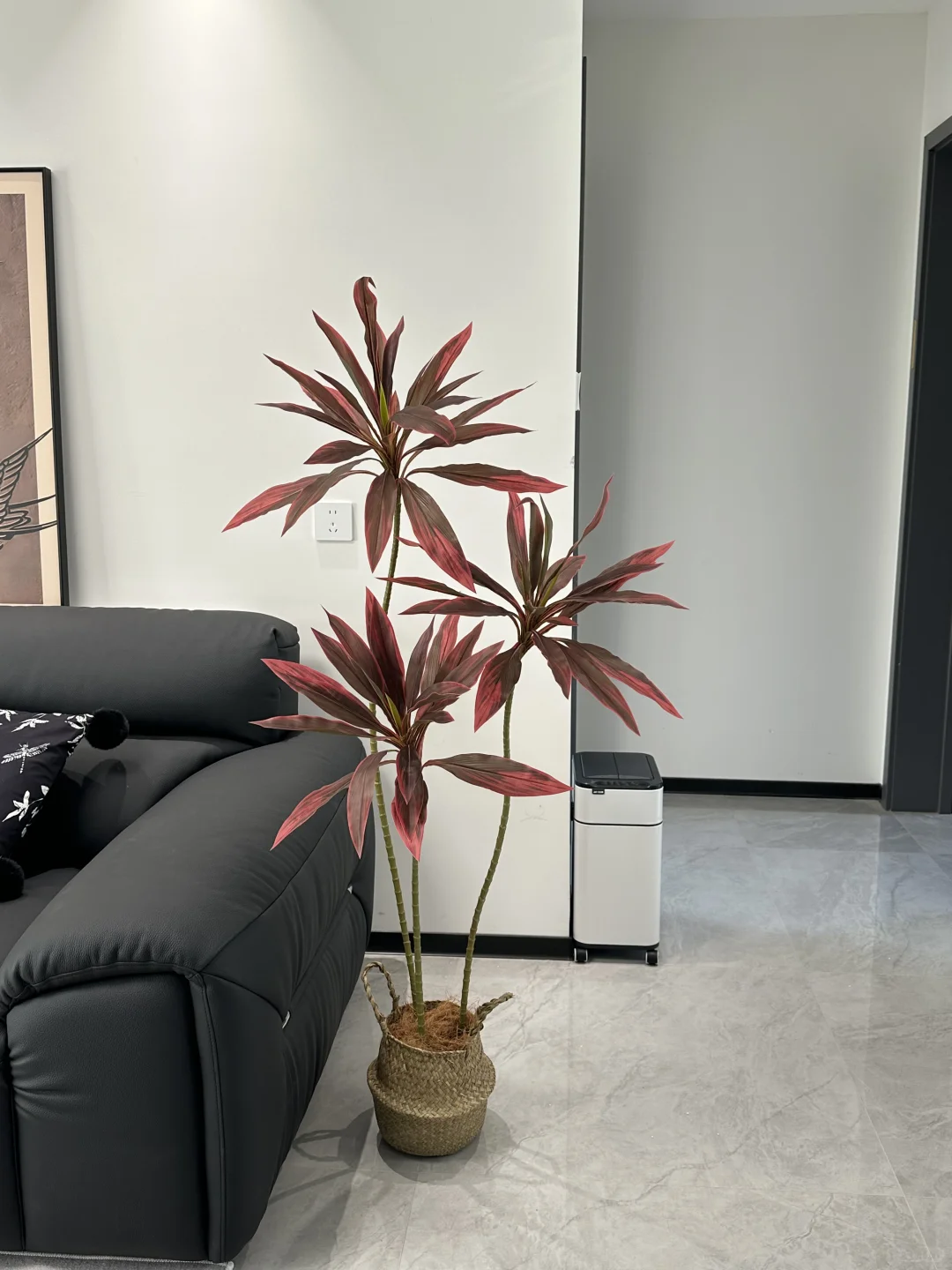 黑白灰的小家太需要它了！！