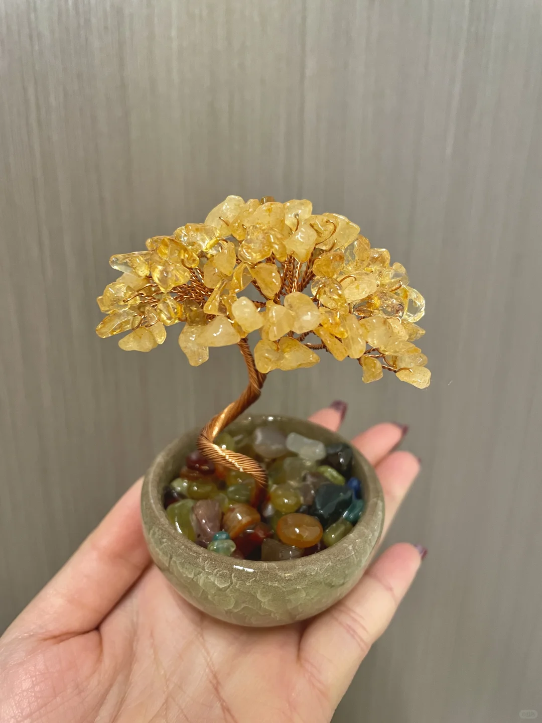 工位上的招财树✨真的好喜欢啊?