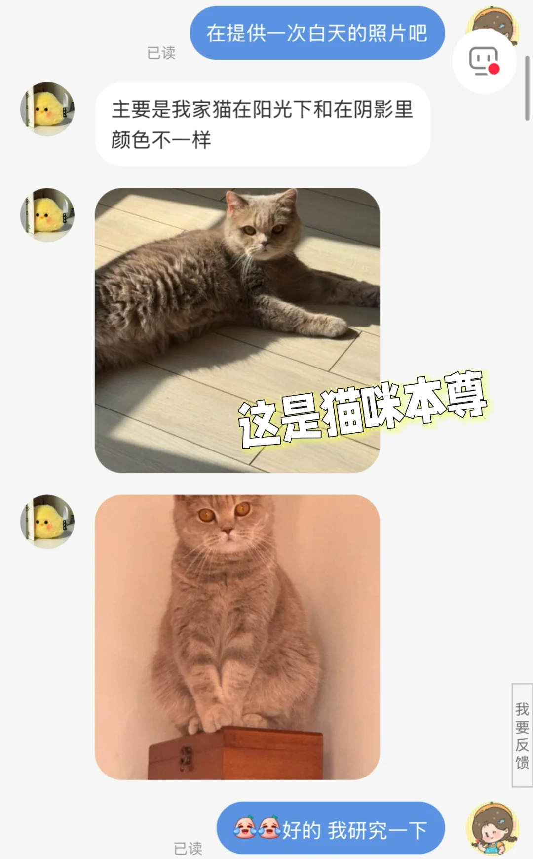 DIY陶艺｜说是一场豪赌绝不夸张！