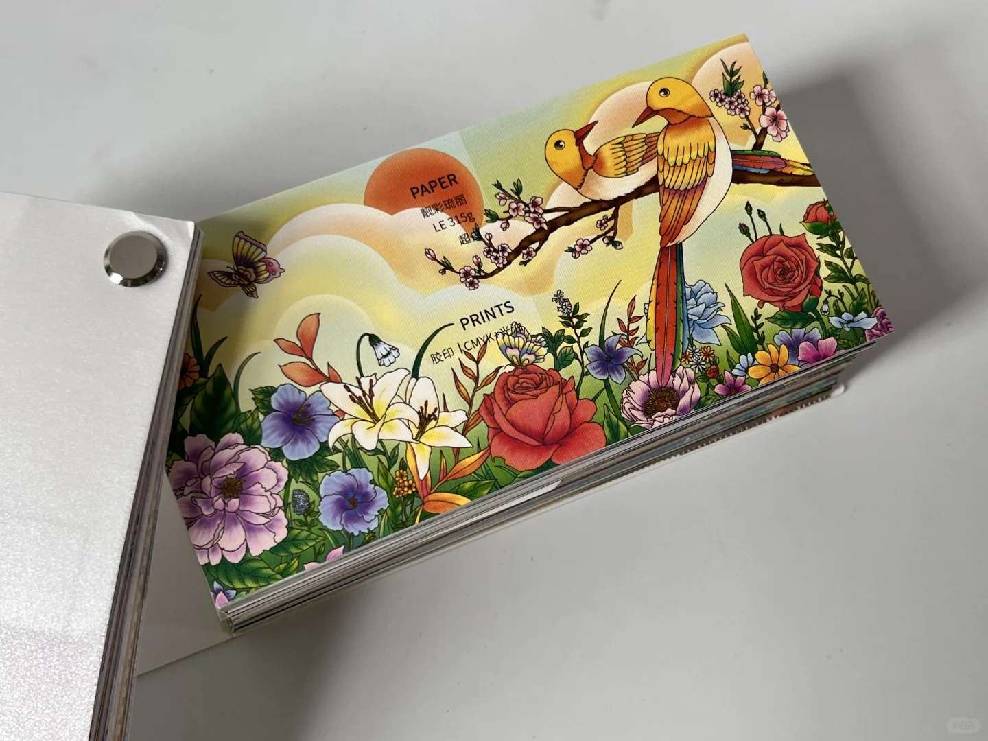 《纸张印刷工艺速查》——创作得力助手