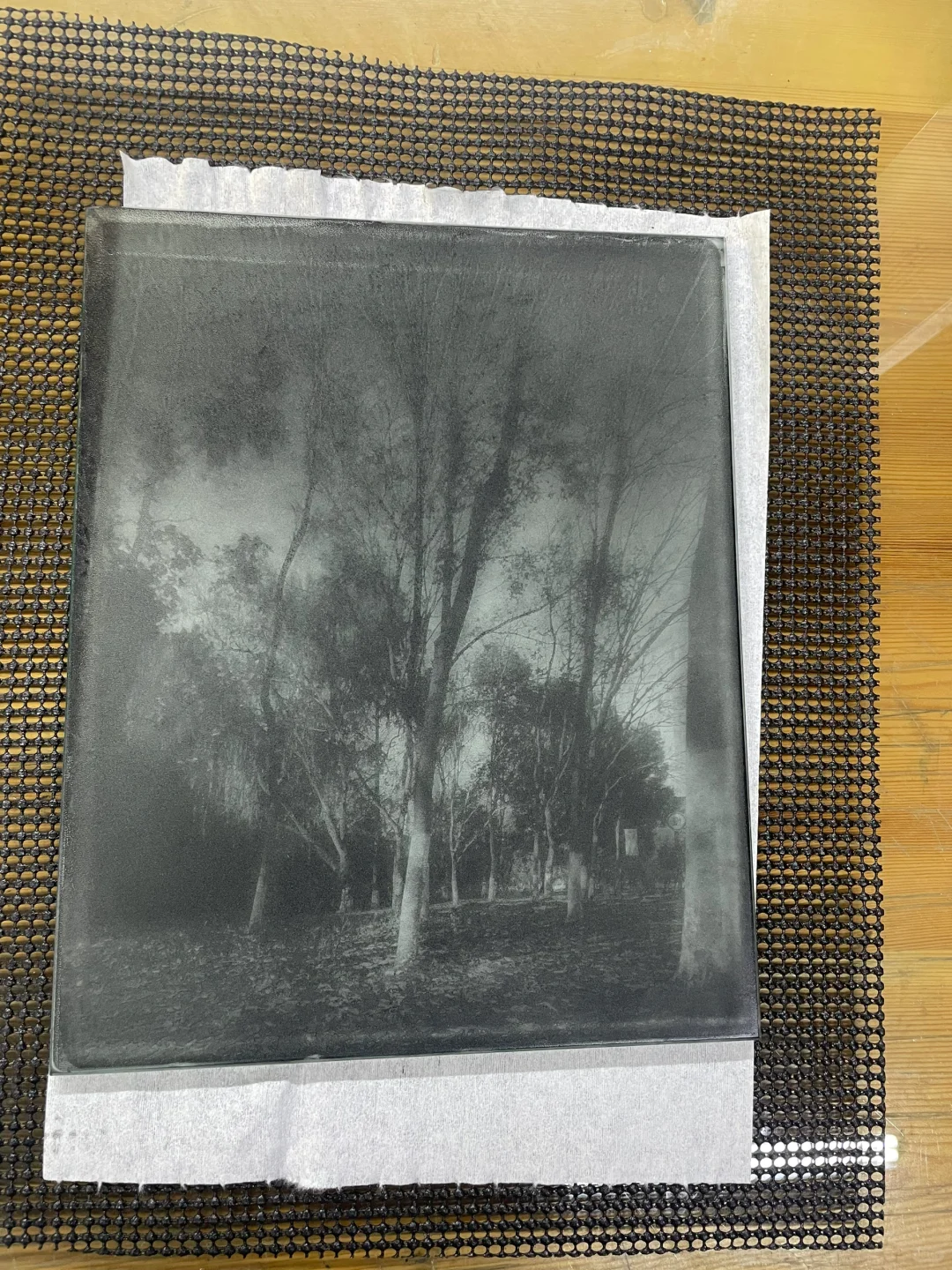 珂罗版练习一下上墨