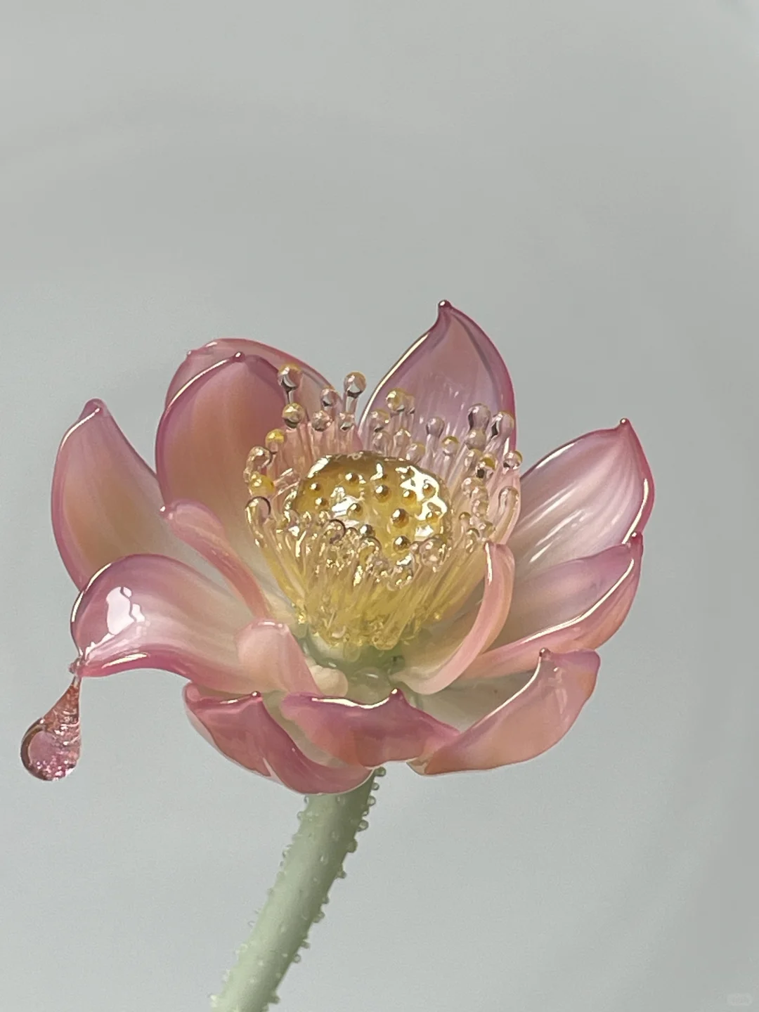 灯工玻璃荷花日常练习分享