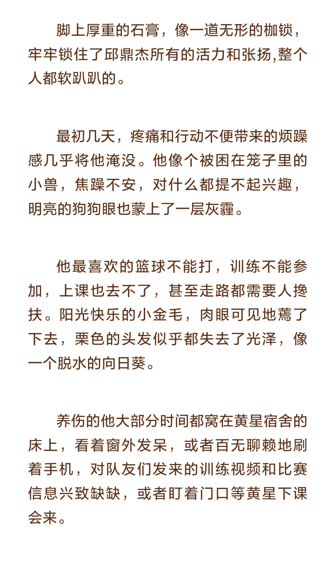 ?⚽️星邱校园 四