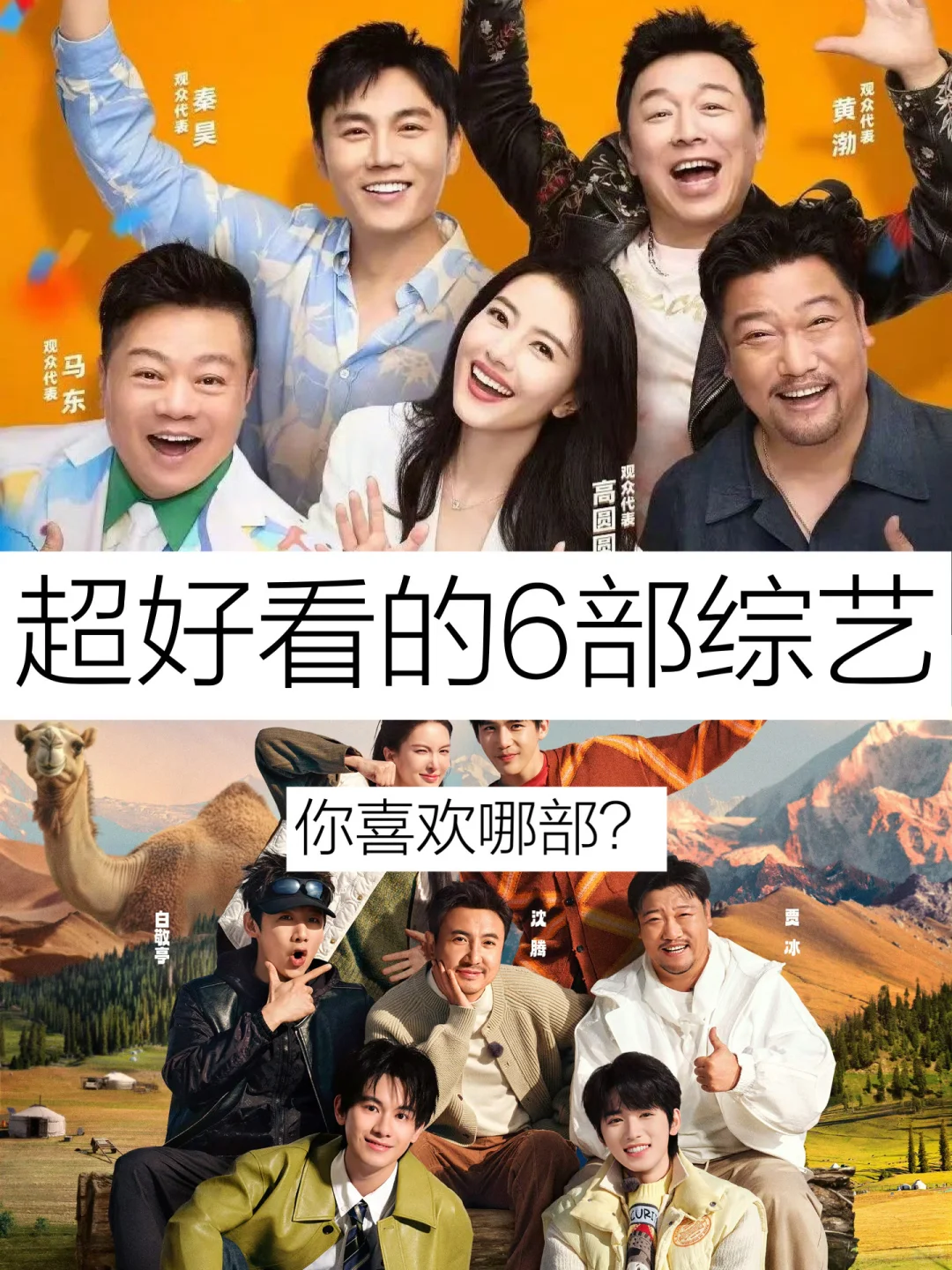 超好看的6部综艺｜你喜欢哪部❓❓❓