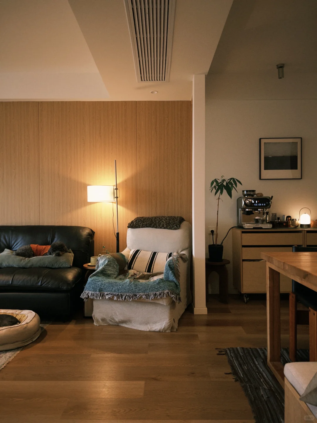 75平小家，这样布置很舒服