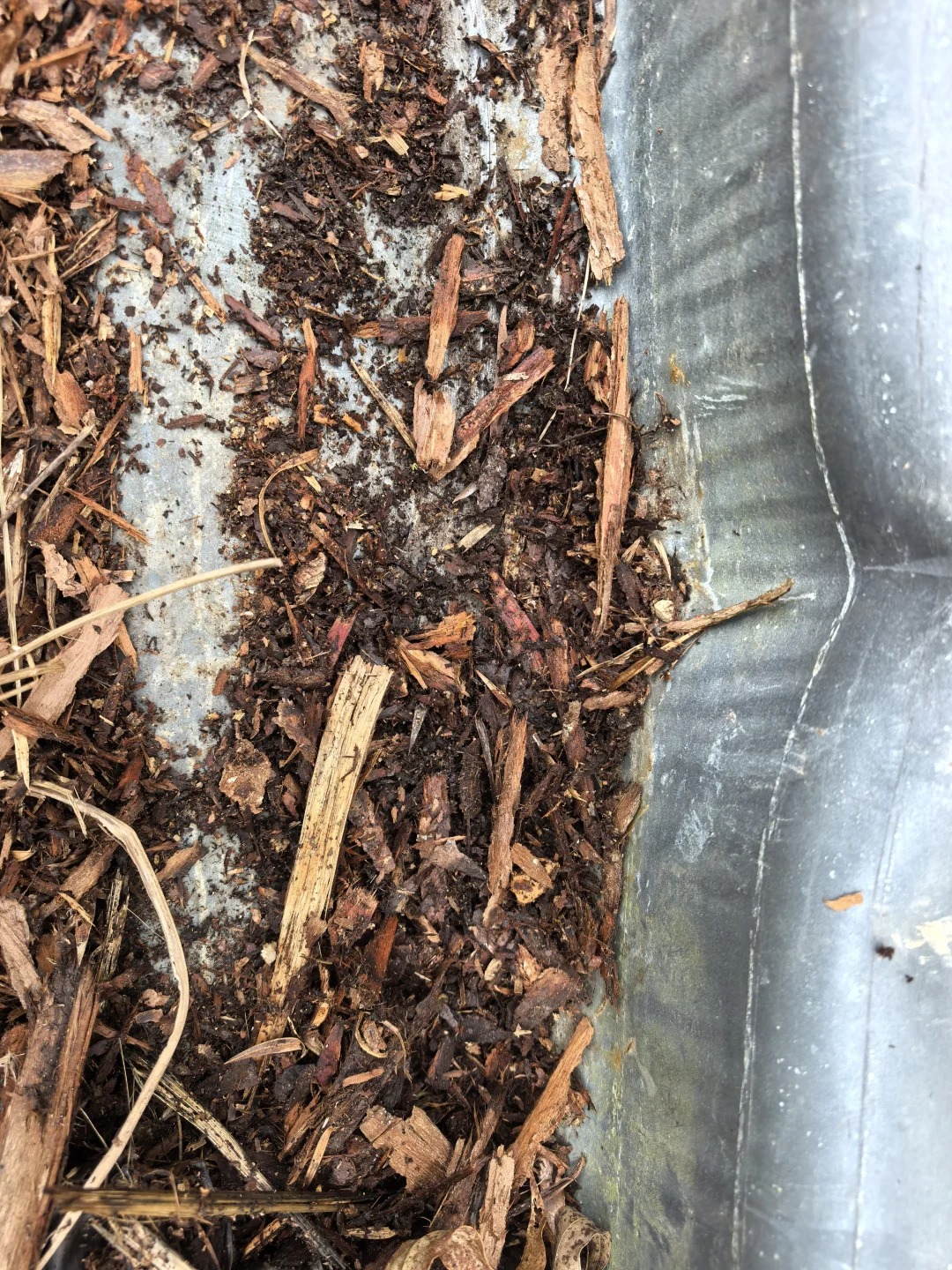 突然发现树皮才是最好的改土材料