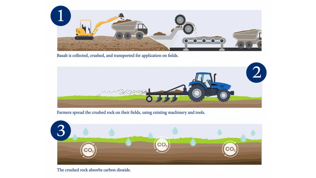 小石头大作用 | 玄武岩粉的碳封存奇迹