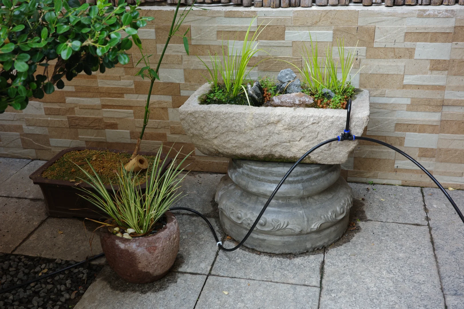 智能浇花，远程无忧，解放你的园艺生活