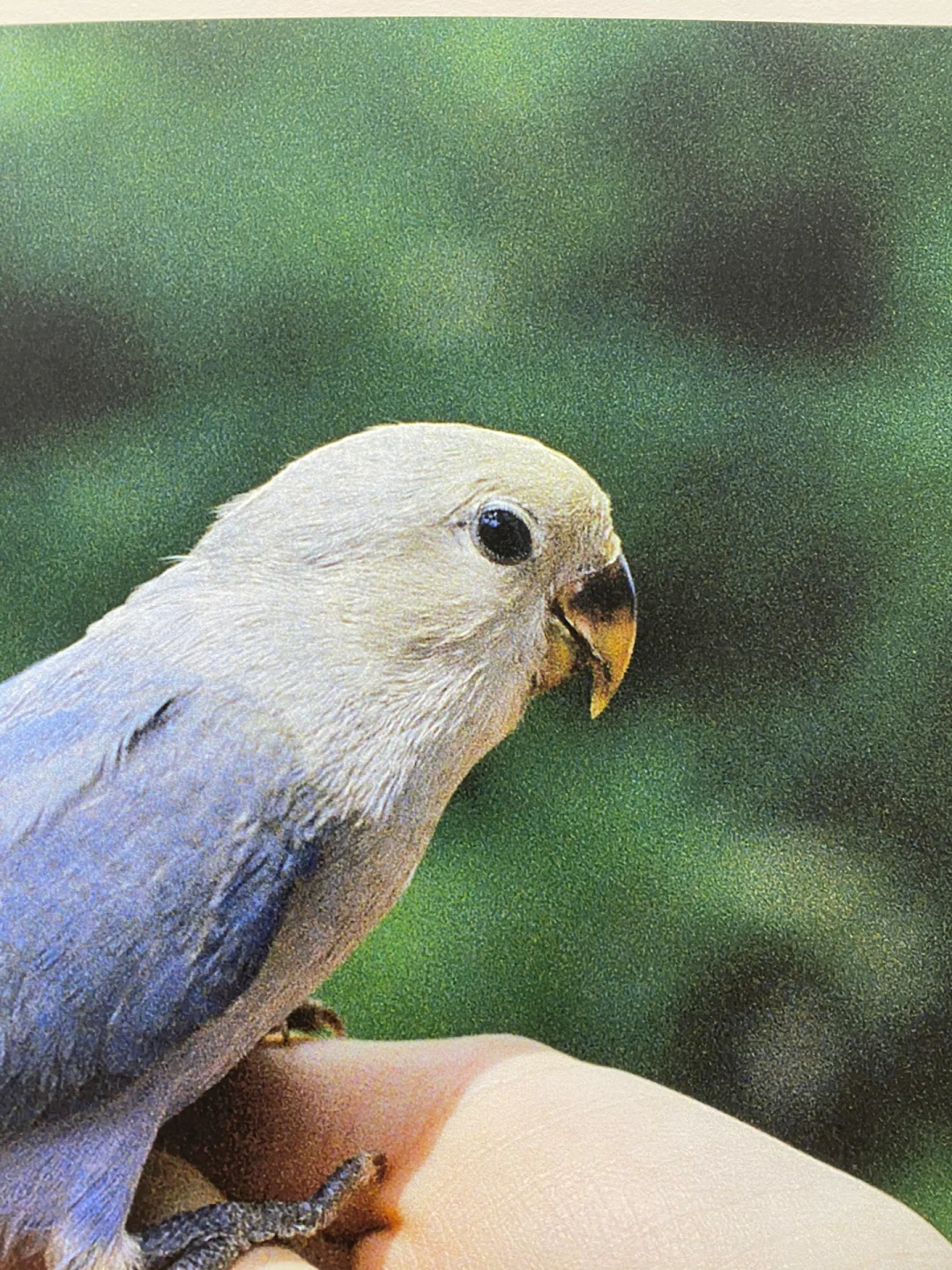 学校的喷墨印刷yyds