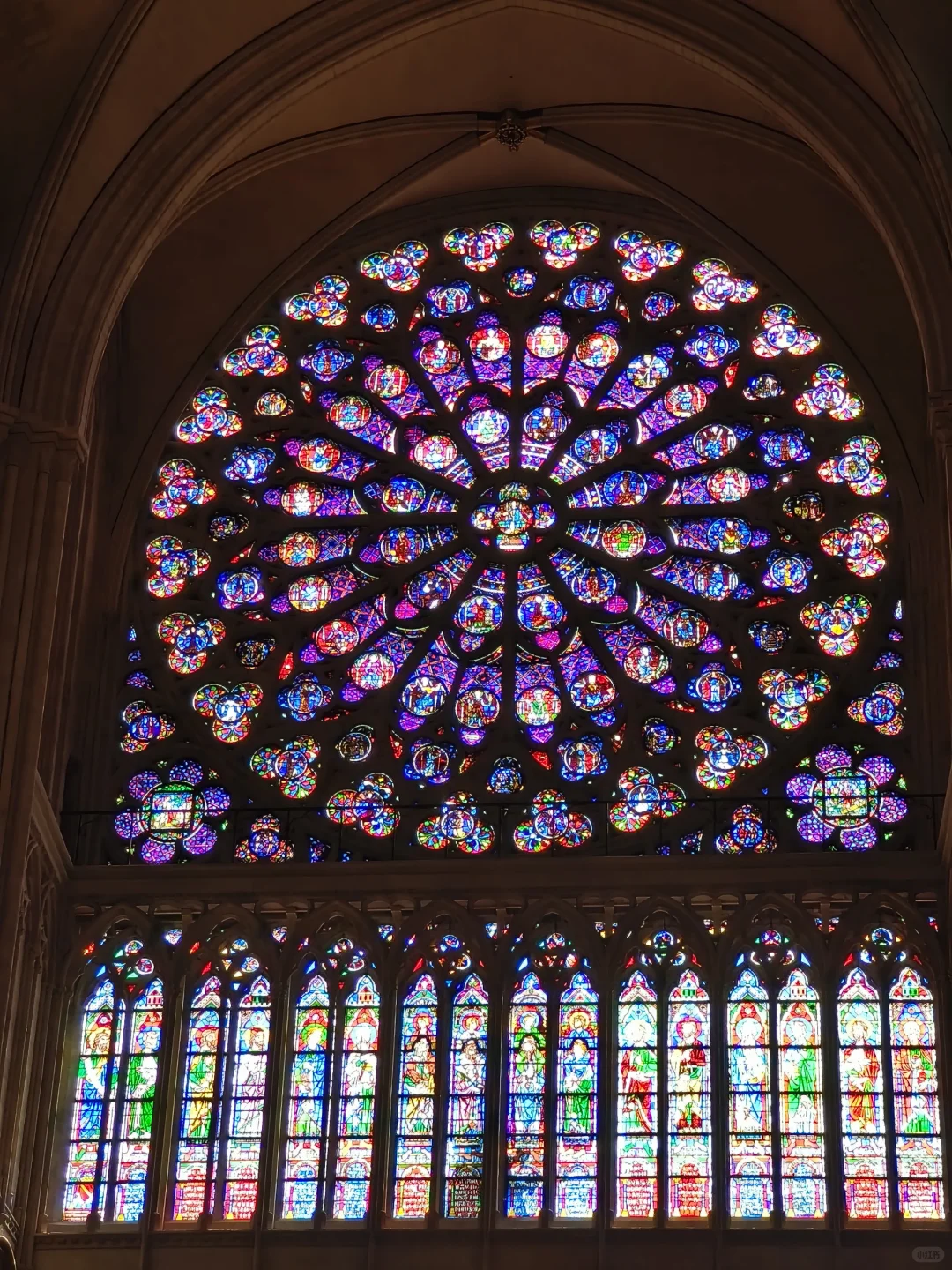 法国巴黎圣母院-玻璃花窗与光下的故事