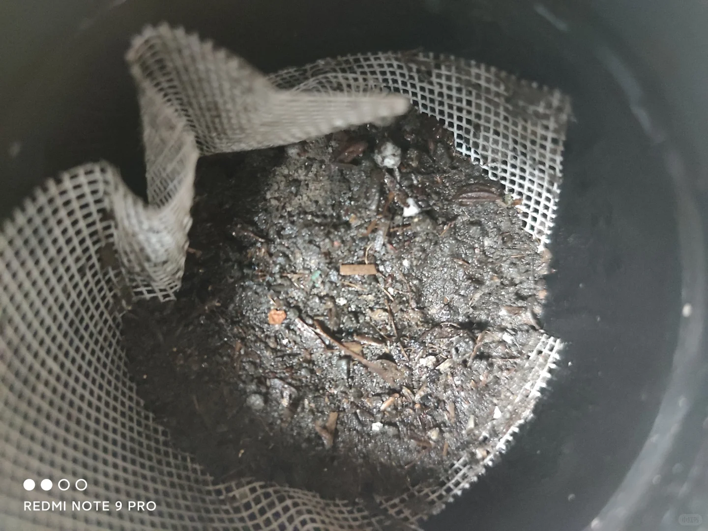 （花友必看）工业废土是什么鬼怪？