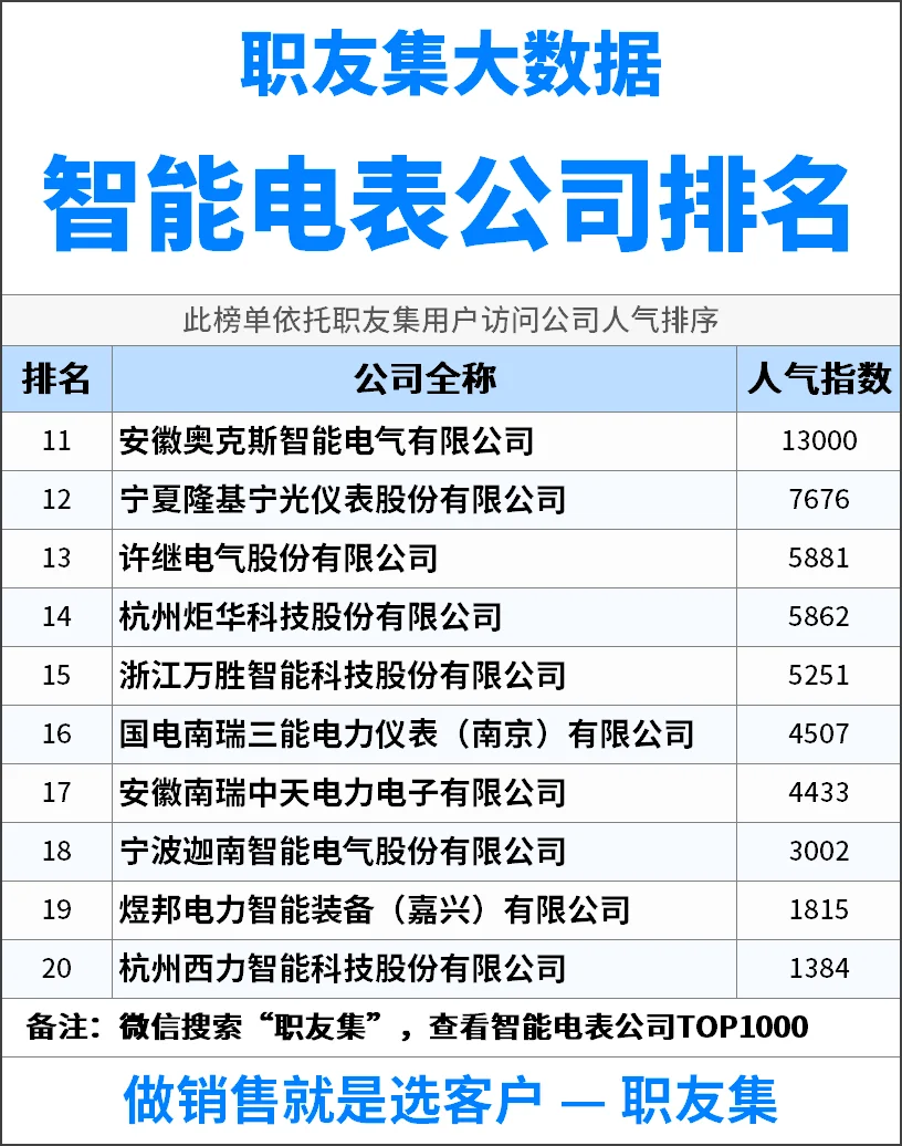 2025年中国‌‌‌智能电表公司排行榜
