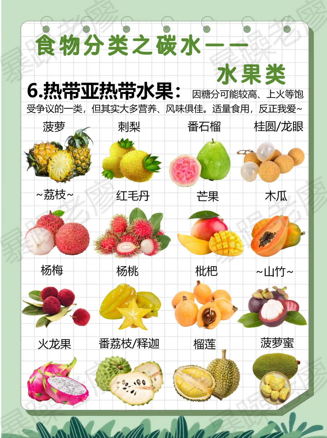 食物分类3-水果(附日常安排要点)