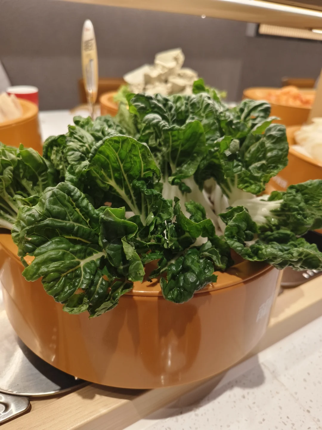 打卡邯郸天鸿龍哥小火锅，浅浅来个真实测评