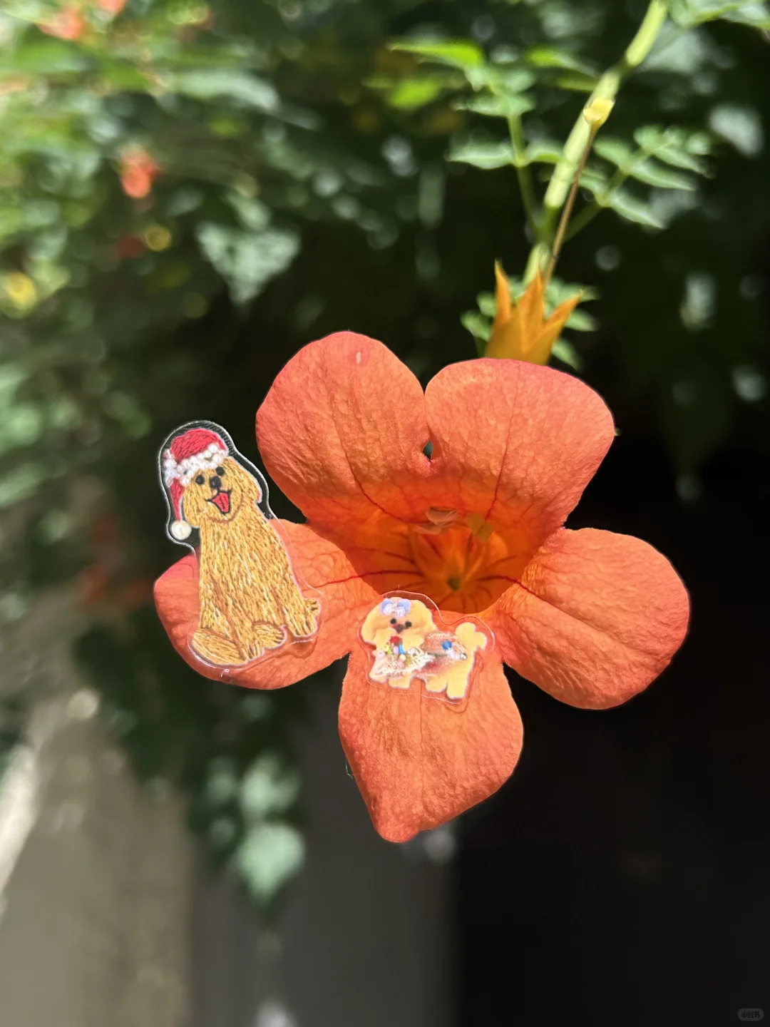 敲敲敲治愈的刺绣造景贴纸上线啦?