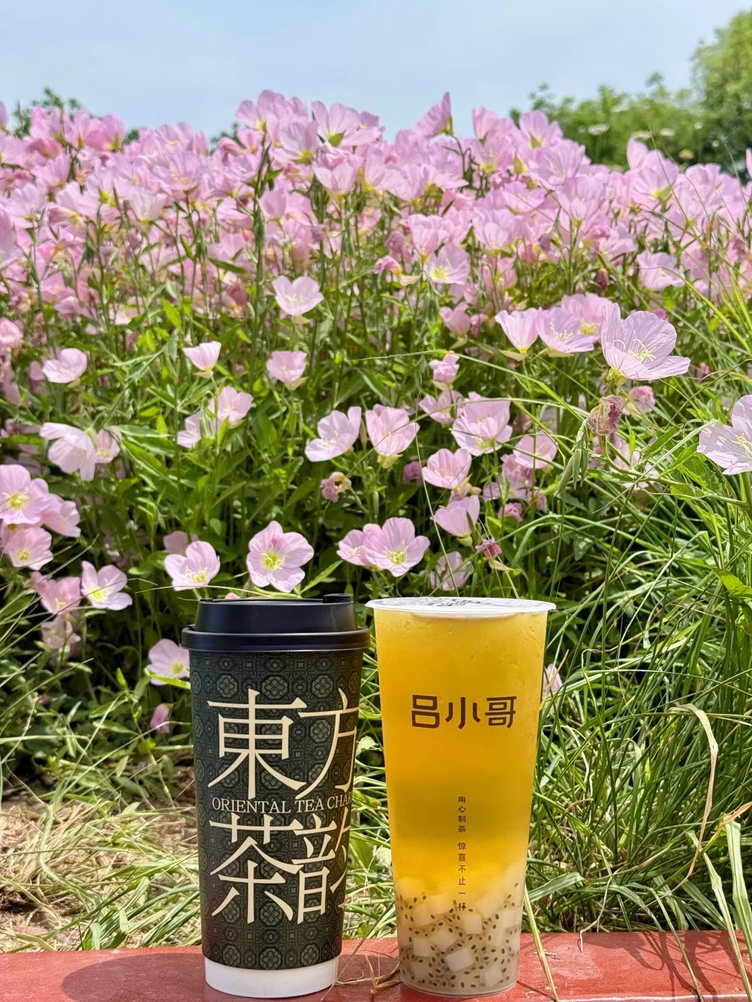 3！r！的夏日快乐水?我能喝一辈子??！！！