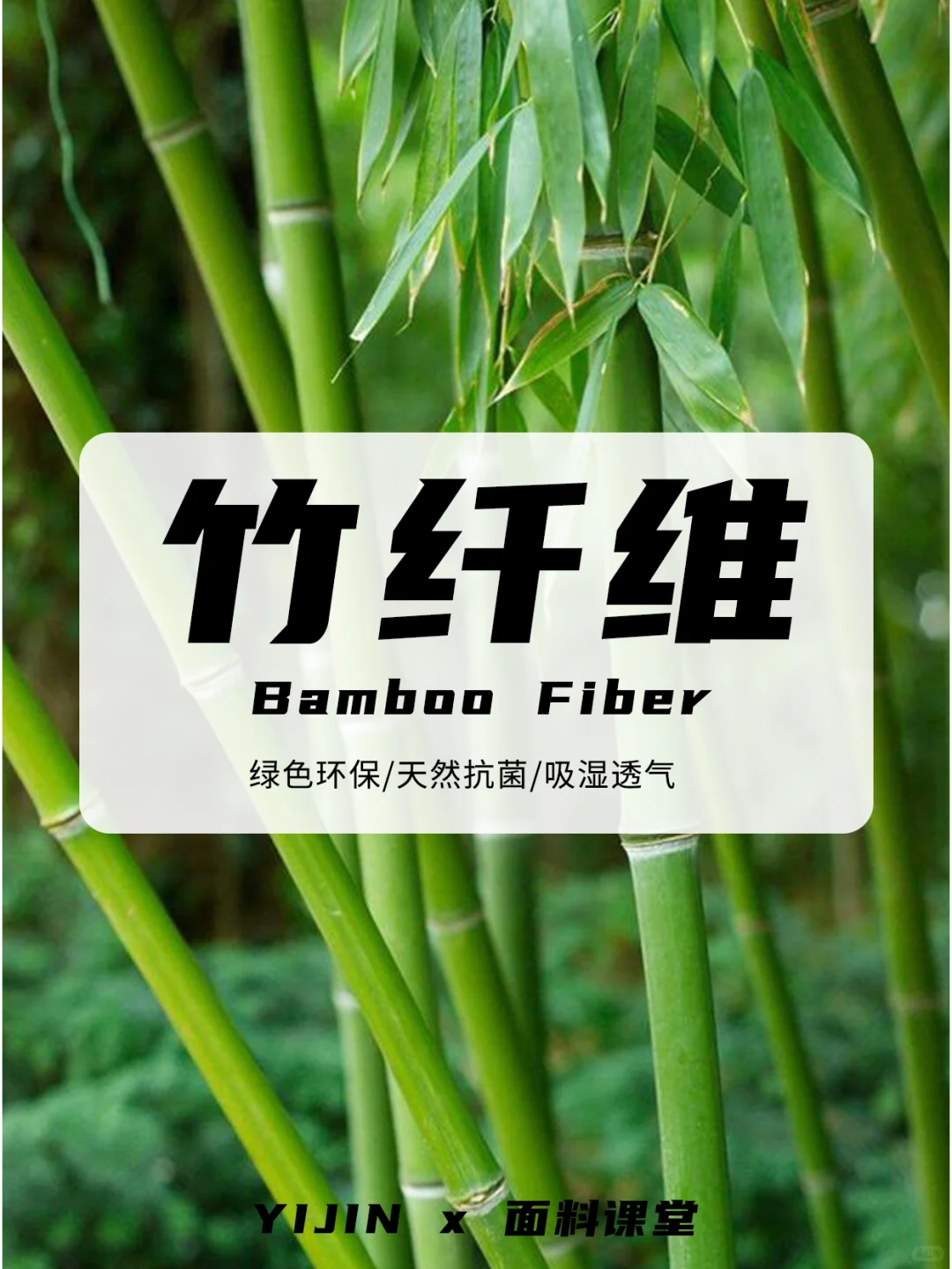 面料小课堂——竹纤维