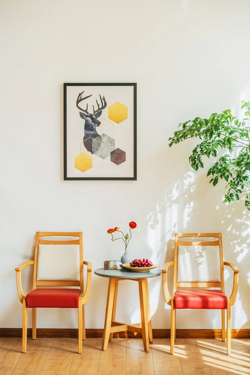 谁说老人不能坐好看舒服的椅子?