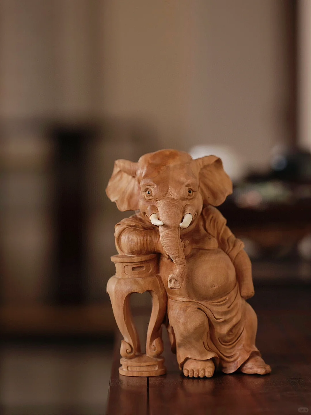 谁能拒绝酷酷的小象呢