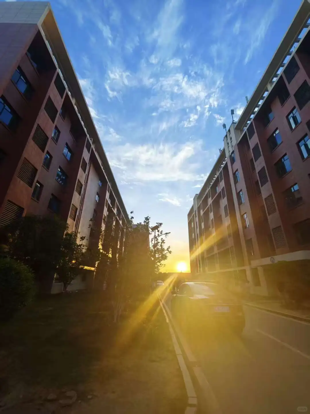 新能源职大的校园环境简直是太爱了(●♡∀♡