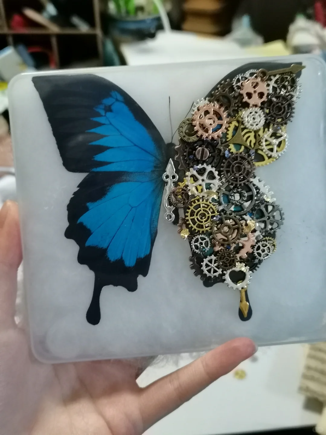 机械蝴蝶? 教程来咯！