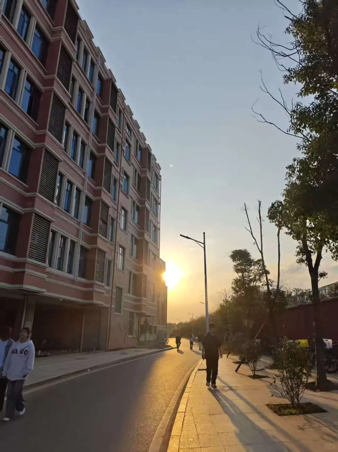新能源职大的校园环境简直是太爱了(●♡∀♡