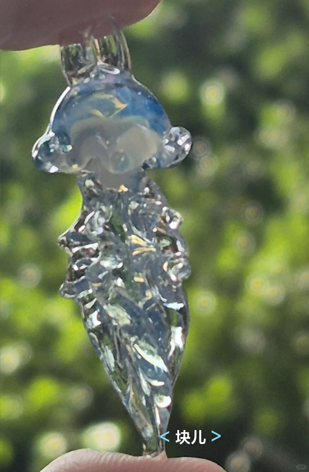 最近在直播间买的一些水母测评