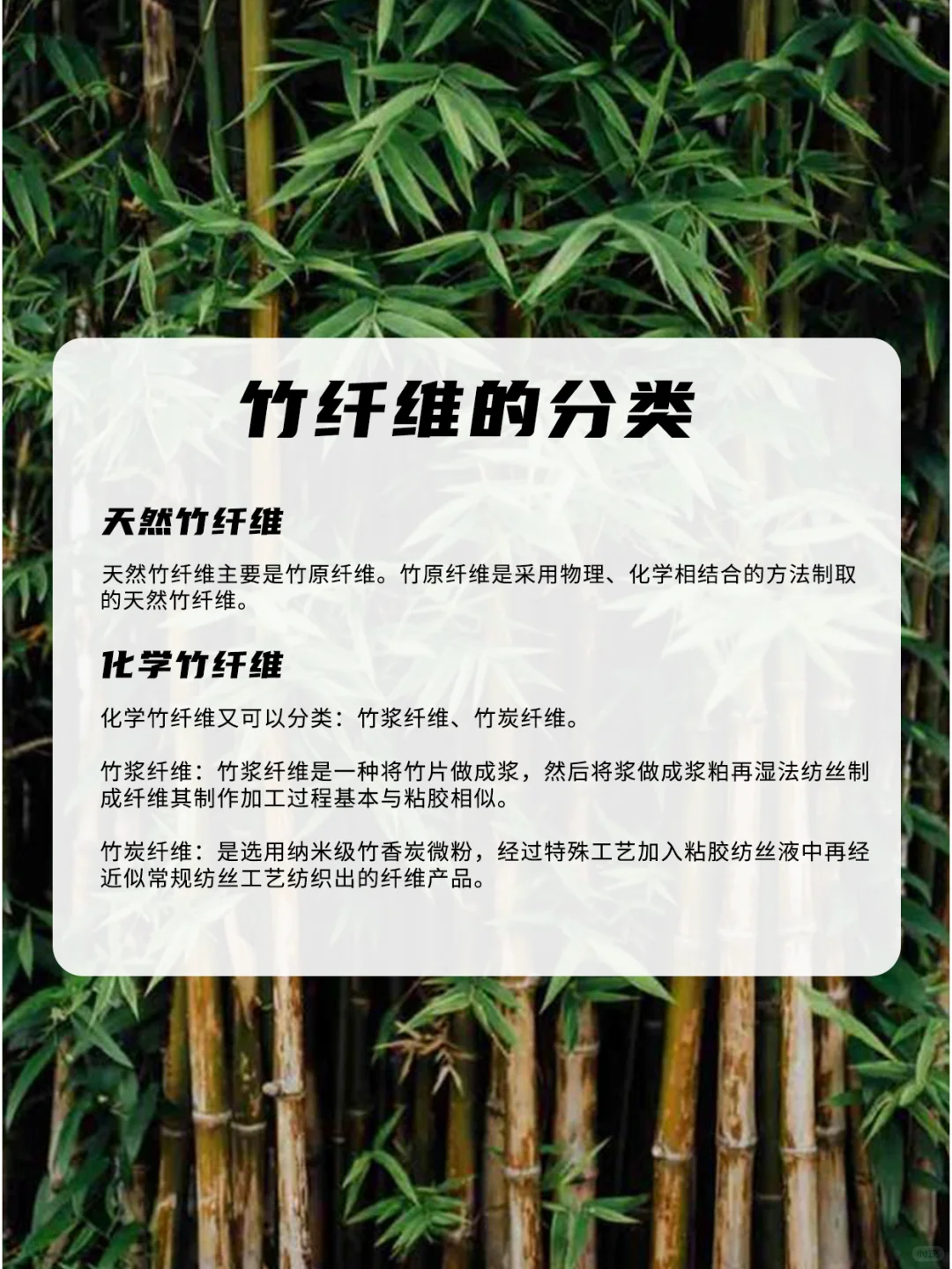 面料小课堂——竹纤维