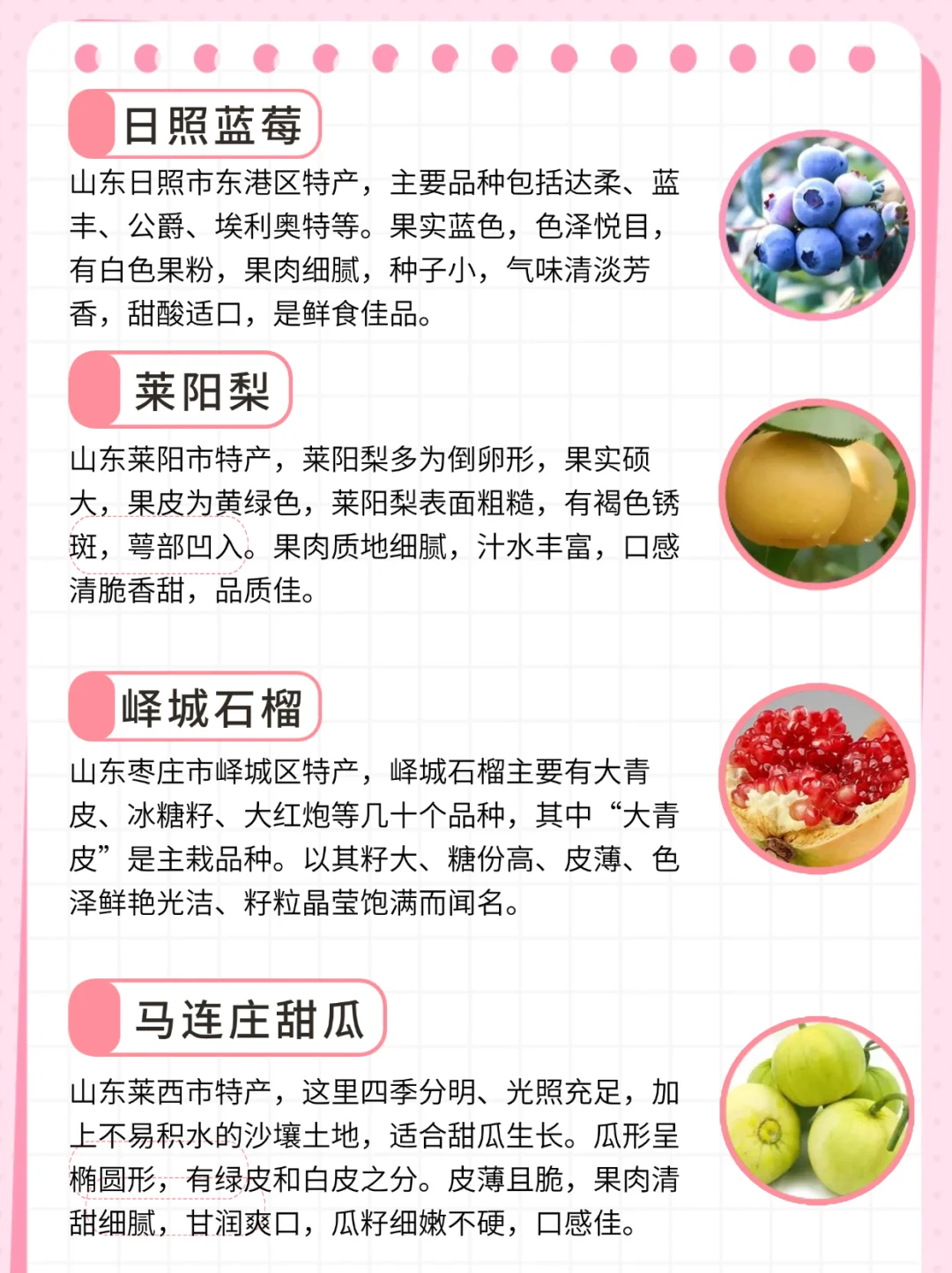 这些好吃的地理标志水果你都吃过吗|山东篇