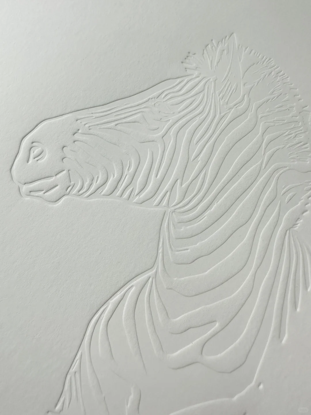 特种纸做无色压凹工艺，肌理感爆棚，质感突出