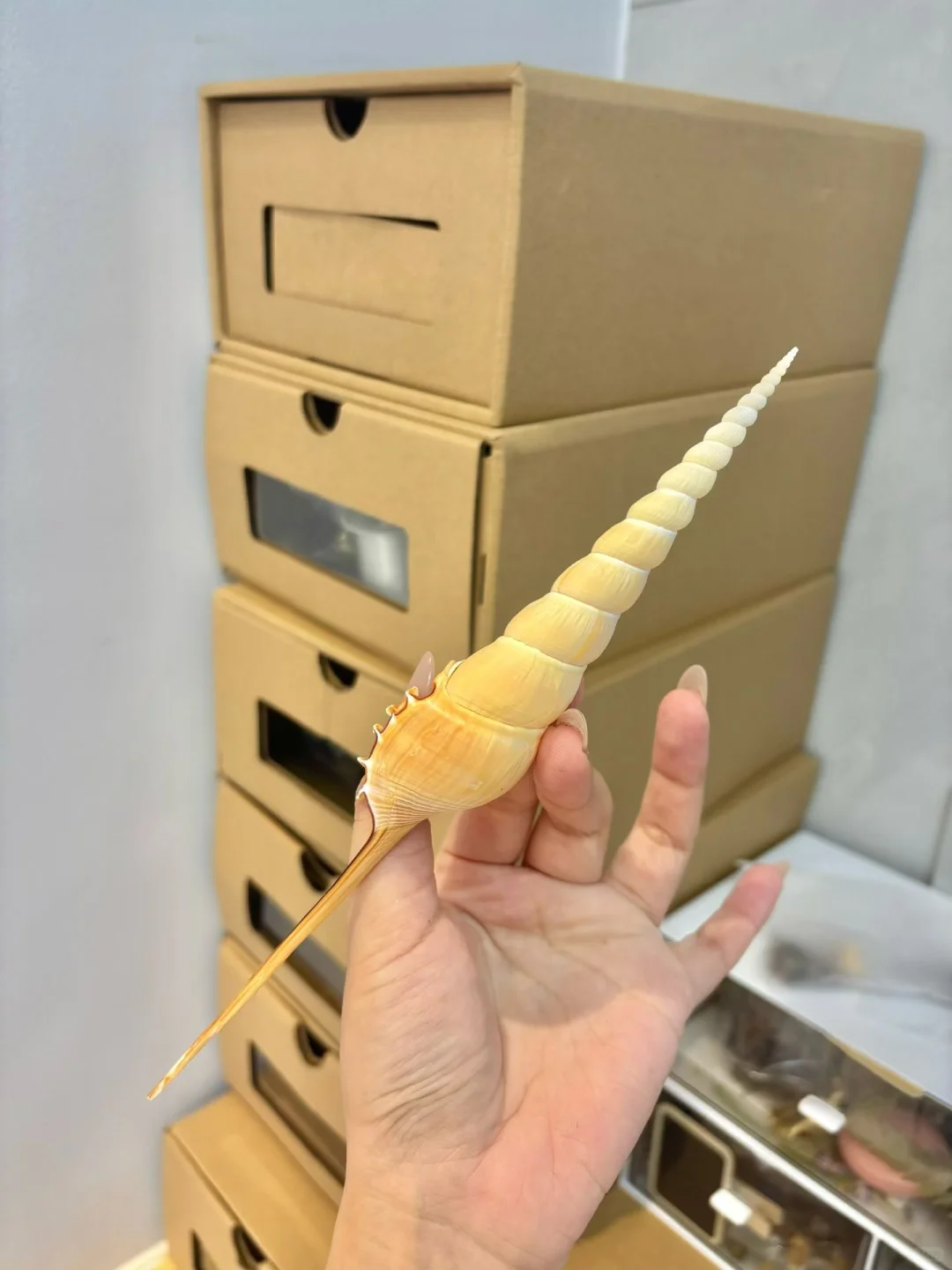 秋季?手工艺品diy