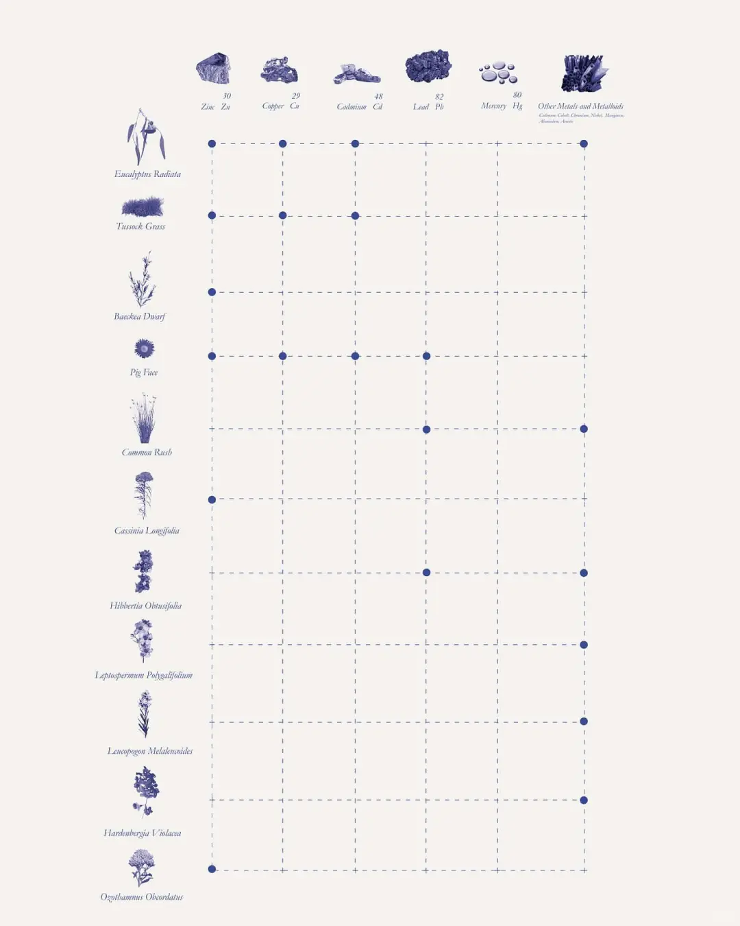 【房屋生活】植物修复土壤的研究