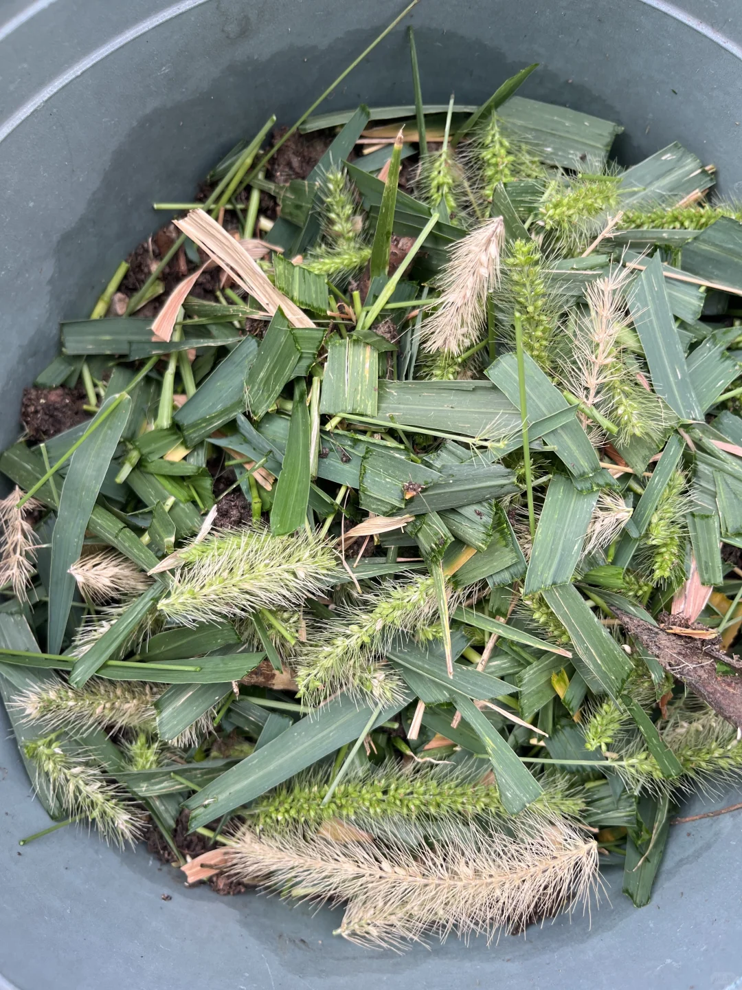 泥土板结了别担心！超简单妙招