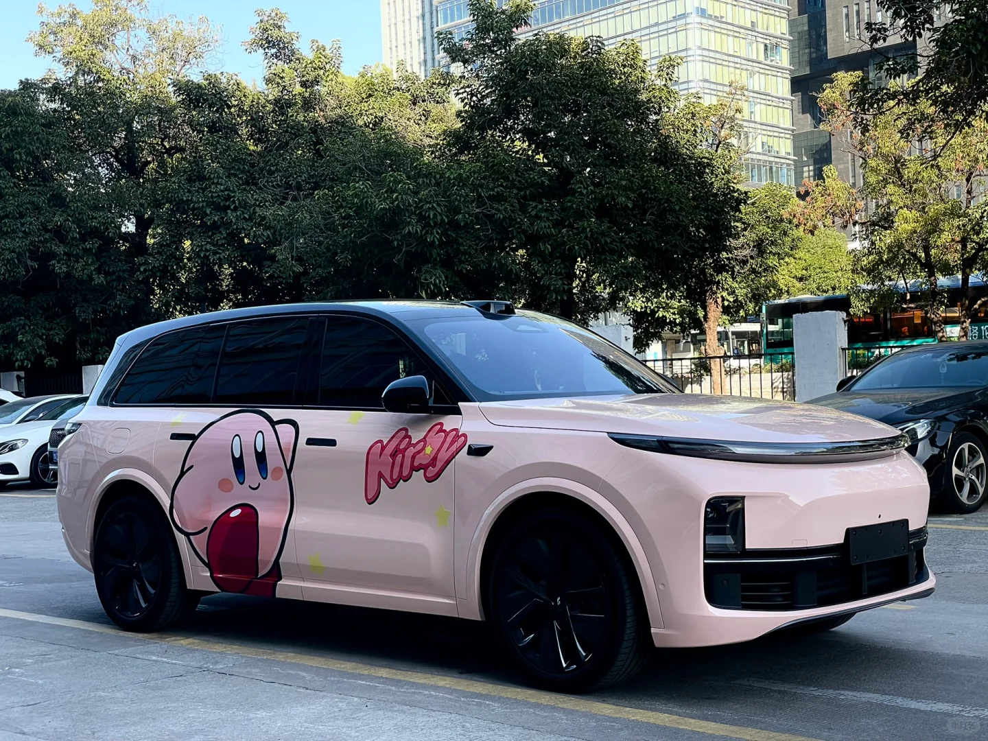 理想L9 |贝壳粉配星之卡比彩绘，女生大玩具